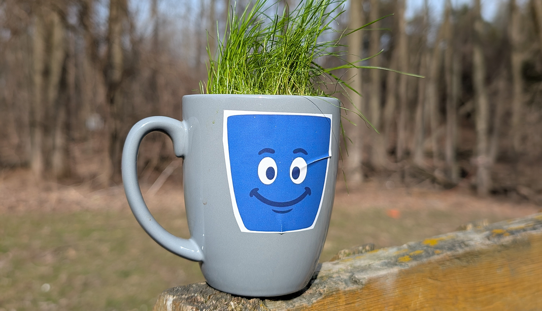 What Your Morning Coffee Ritual Says About You (And Why It Matters)